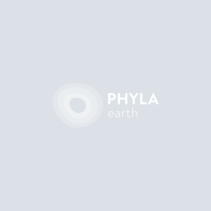 Phyla earth no image